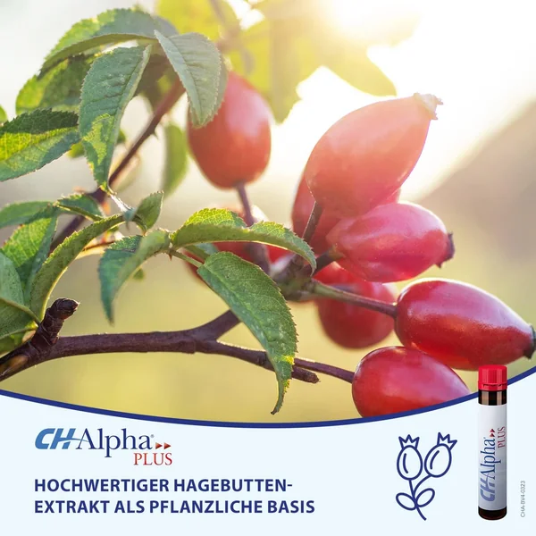 CH Alpha Plus Set of 30 - collagen peptides and rose hip