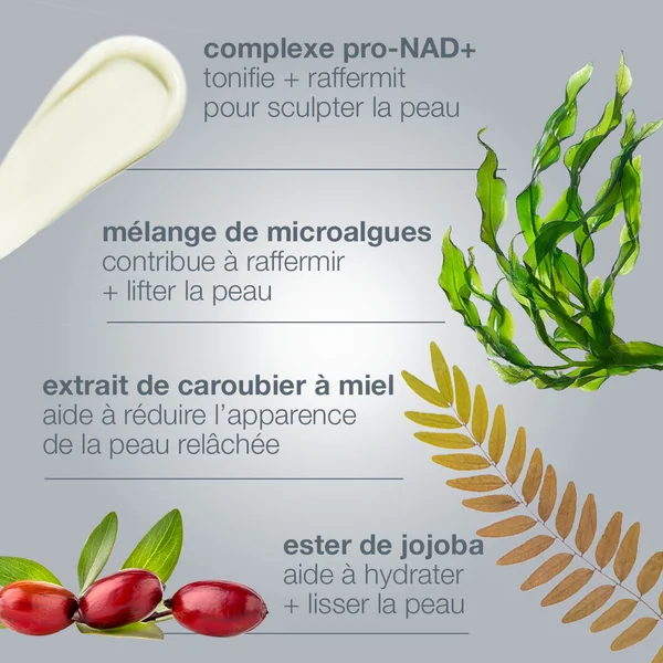 duo fermeté corps + visage | dynamic skin sculptor + phyto nature e²
