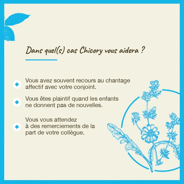 Fleurs de Bach Chicory n°8
