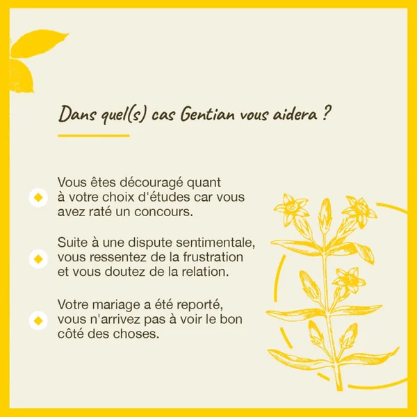 Fleurs de Bach Gentian n°12