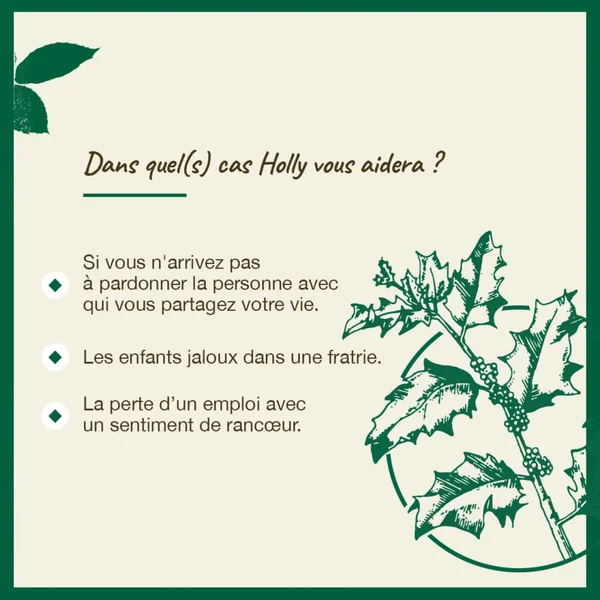 Fleurs de Bach Holly n°15