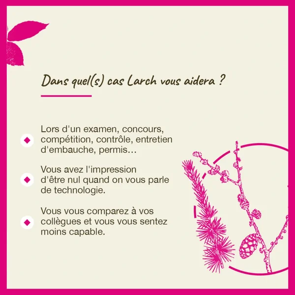 Fleurs de Bach Larch n°19