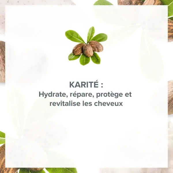 Lot de 3 Shampoing Réparateur Délice de Karité 1000 ml