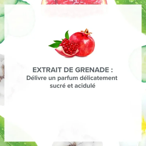Lot de 4 Déodorants 24H Énergisant Grenade Acidulée