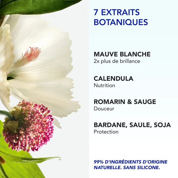 PHYTO 7 ELIXIR - Crème de Jour Universelle - Cheveux Secs à Très Sec, 50ml
