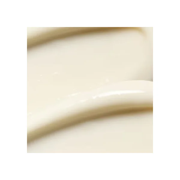 SOURCE NUTRITION - Crème Nourrissante - Visage - Peaux Sèches à Très Sèches, 50ml