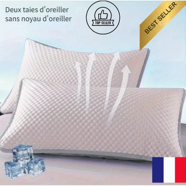 Taie d'oreiller Rafraîchissante Lot de 2 Housses d'oreiller Respirant 40x60cm