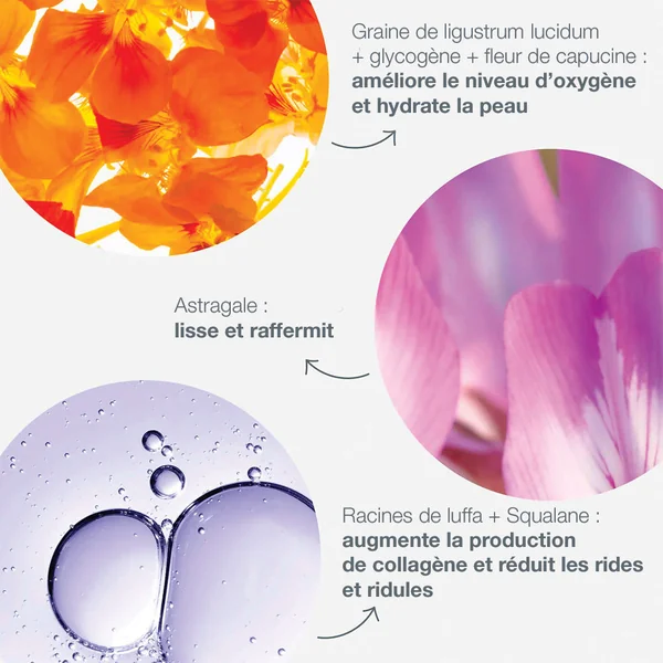 trio raffermissant visage + yeux Phyto Nature | régénération, lift + définition du regard